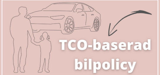 TCO-baserad bilpolicy